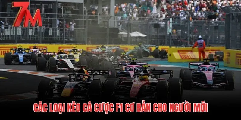 Phân loại kèo cá cược đua f1 và cấu trúc bảng tỷ lệ