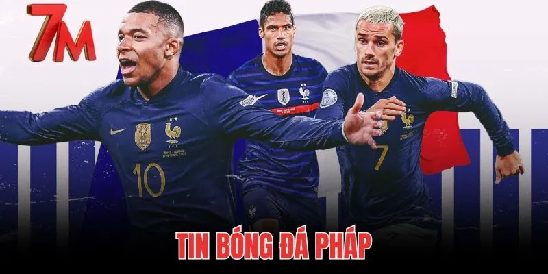 Tin Bóng Đá Pháp - Dữ Liệu Lực Lượng Soi Kèo Chuẩn 7M